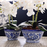 Vase Lara (set of 3)