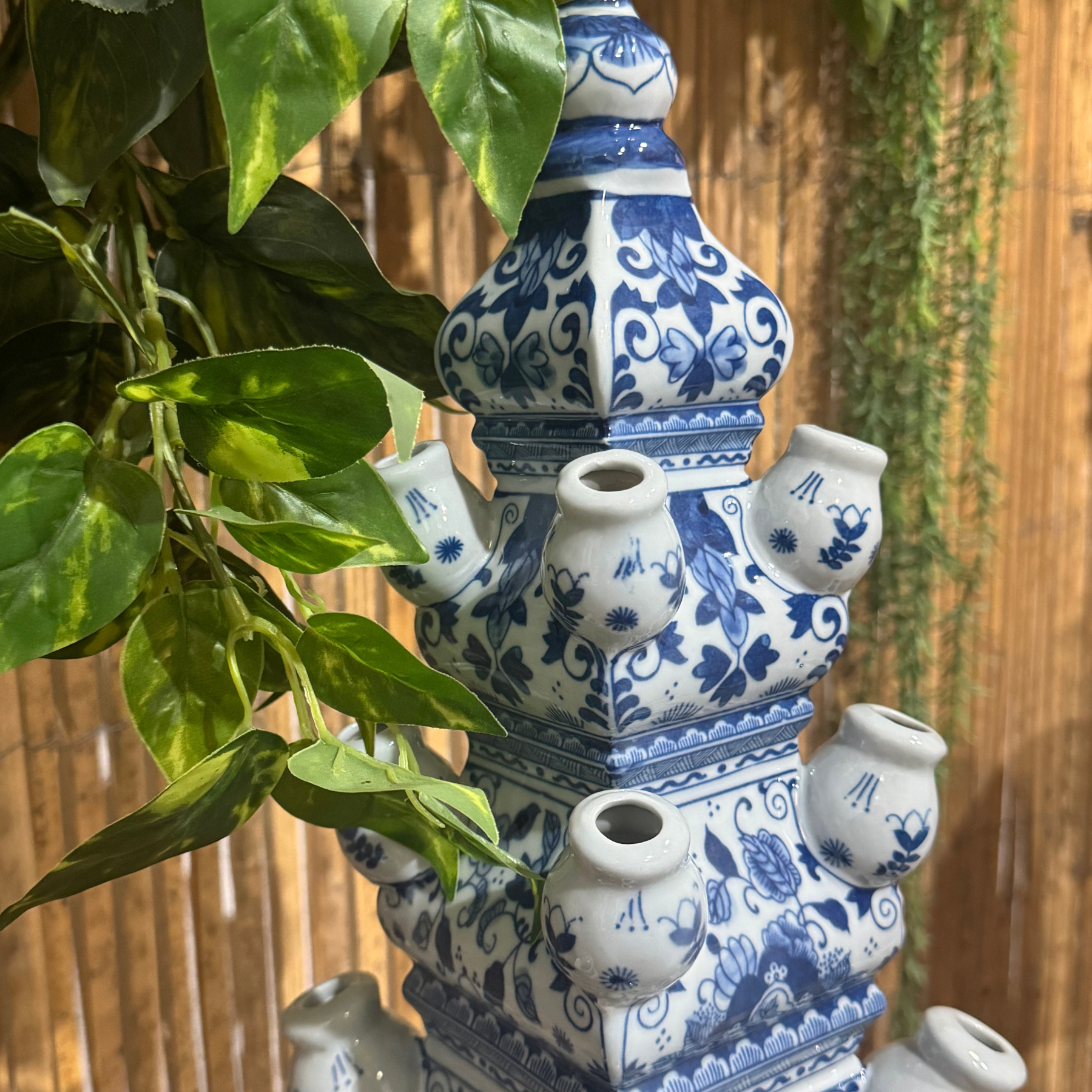 Tulipaire Riviera