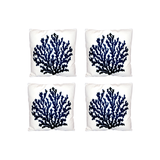 Cushion Coral
